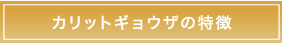 カリットギョウザの特徴